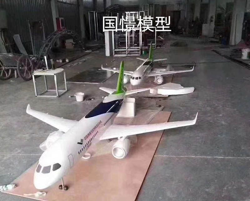 确山县飞机模型